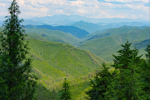 山林・農地売買